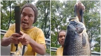 Dikira Begal Gegara Bawa Parang, Pria Ini Ternyata Tawarkan Ikan Gurami