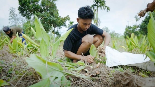 Jadi Pemenang Desa BRILian Paling Inovatif dan Digitalisasi Terbaik, Begini Kisah Desa Ibru Muaro Jambi